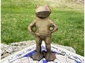 A Metal Outdoor Frog