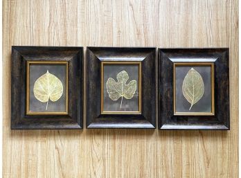 A Trio Of Small Leaf Prints
