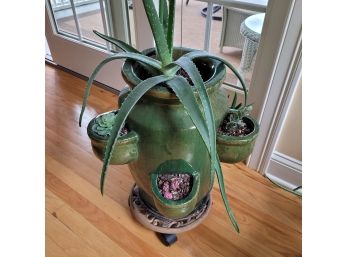 Aloe Vera Plant In Strawberry Pot With Some Fake Succulents