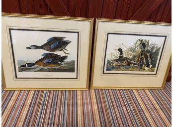 Framed Vintage Birds Print 2 Pieces