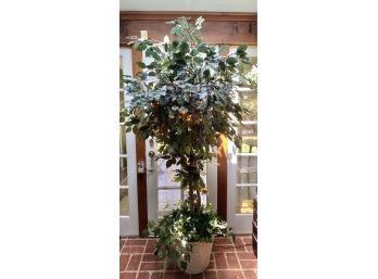 Artificial 6 Foot Ficus Tree With Wicker Planter And White Lights