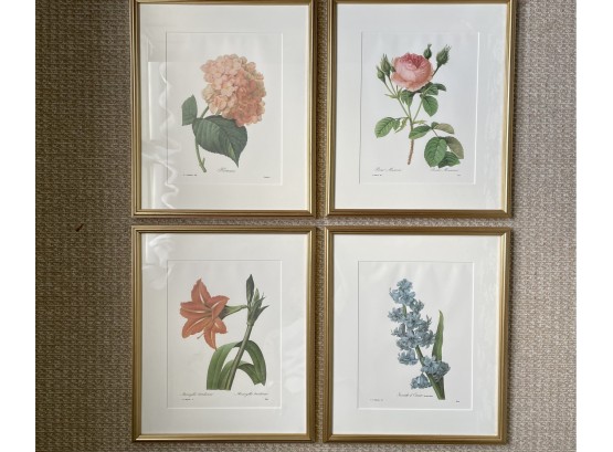Four Floral Specimen Lithographs, Custom Framed