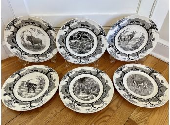 Six Kruger National Park (South Africa) Collection Fine China Plates By Wedgwood