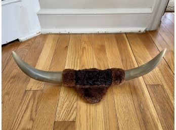 Vintage Mounted Buffalo Horns