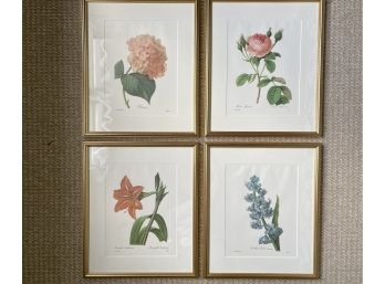 Four Floral Specimen Lithographs, Custom Framed