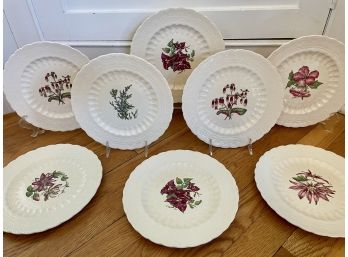 Eight Antique Spode 'Bermuda Flowers' S1312 Luncheon Plates