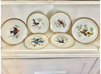 Six Gold Rimmed Dessert Plates From Hutschenreuther Porcelain Featuring Audubon Birds