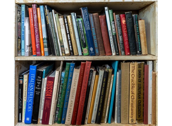 Two Shelves Of A Library Collection