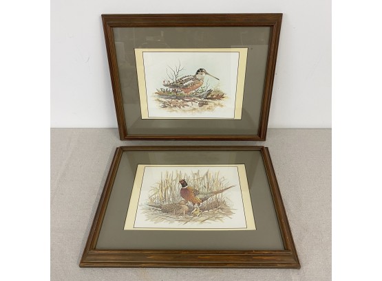 Pair Of Framed Game Bird Prints