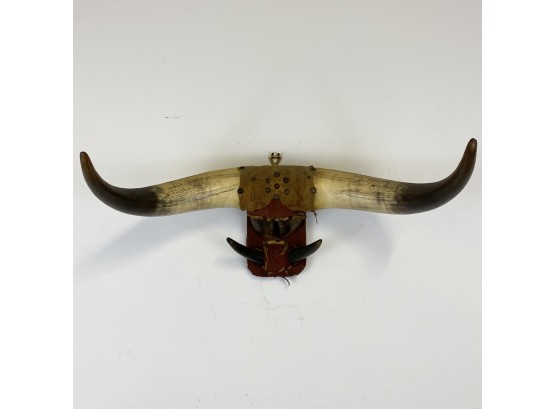 Mounted Bull Horns Mexican 1933