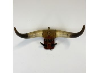 Mounted Bull Horns Mexican 1933