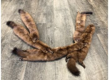 Lovey Brown Mink Scarf For Winter Fashion
