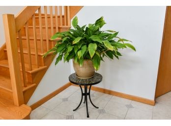 Live Lily Plant In Ceramic Planter With Underplate And Plant Stand