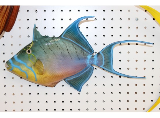 SUPER COLORFUL Queen Trigger 16 Inches Fish Mount WALL DECOR