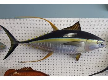 BIG Yellow Fin Tuna Approx 5 Feet LONG Fish Mount