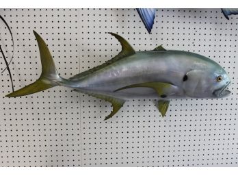 LIFELIKE Pacific Crevalle Jack Fish Approx 3 Feet FISH MOUNT