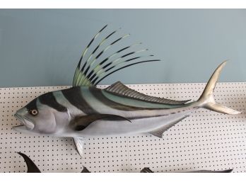 AMAZING Rooster Fish 49 Inches FISH MOUNT Over 4 Feet LONG