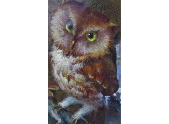 Fantastic Painting Of Owl