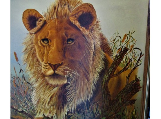Oil Painting Of Lion