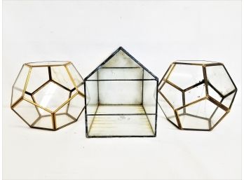 Three Glass Terrariums