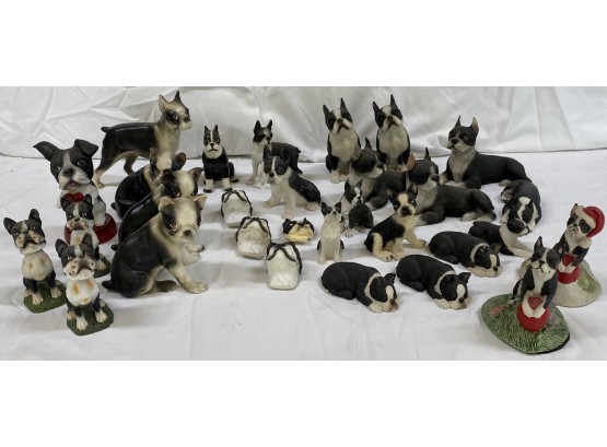 Mini Boston Terrier Collection