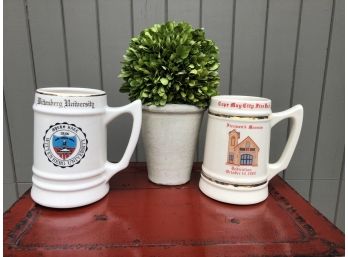 Steins And Plastic Plant