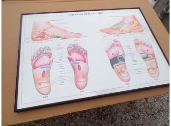 Universal Reflexology Doctor's Print Of Feet