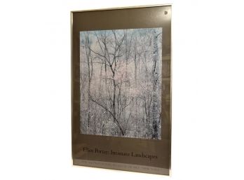 Eliot Porter: Intimate Landscapes MOMA Framed Poster Featuring 'Redbud Trees In Bottomland 1968'
