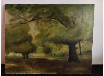 Trees In Woods Signed Oil On Canvas