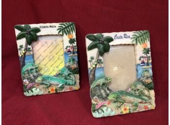 Two Identical Costa Rican 4x6 Iguana Themed Frames