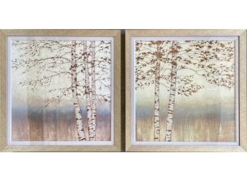 Pair Of Nicely Framed Birch Tree Prints By James Wiens