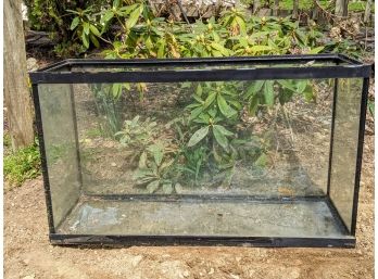 40 Gallon Glass Tank Without Accessories.