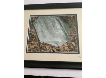 Amazing Fall Nature Scene Photo Signed And Numbered