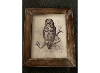 Barn Owl Print In Beautiful Rustic Frame