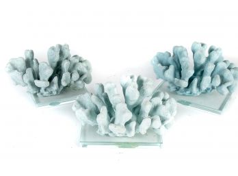 (25) Trio Of Seafoam Blue Coral Sculptures