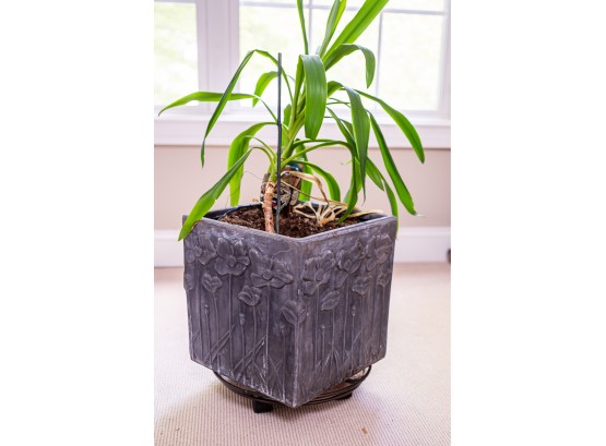 Planter With A Live Plant
