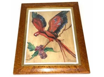 Signed Parrot Watercolor By Tom Bransom