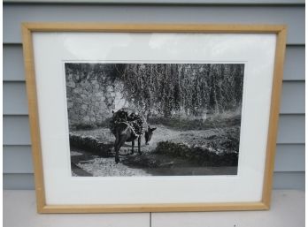 Framed And Matted Print Of Burro Carrying Wood - Signed