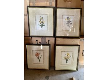 Set Of 4 French Botanical Lithographs - Framed And Matted