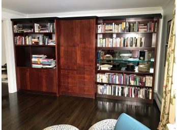 Custom Made Wall Cabinet / Wall Unit - Paid $18,000 To Have Made 20 Years Ago - HERE TO SELL !