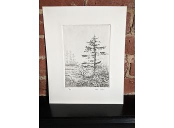 Beautiful Tree / Nature Print By Heidi P Nolan - Signed And Numbered