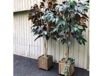 A Pair Of Silk Magnolia Trees In Hammered Square Tin Planters - 86'