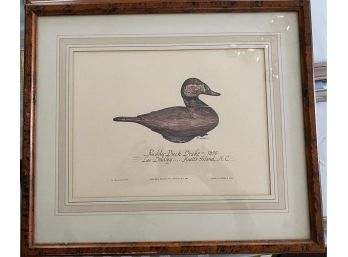 Print From Classic Duck Decoy Series Limited Prints - Ruddy Duck - 1890 - 'B'