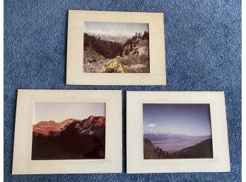 Three Photographs Pencil Signed Laura Wigglesworth Dated July 77'