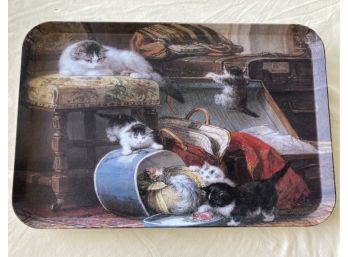 Kitty Cat Tray Made In Italy Jasons Products