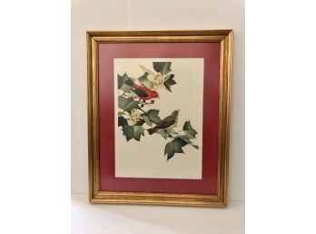 Framed Print Of Two Scarlet Tanagers