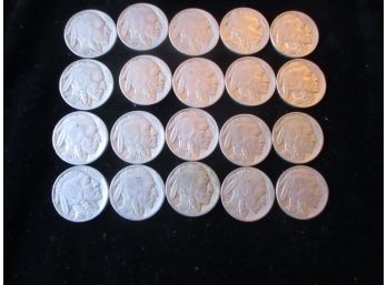 20 U.S. Buffalo Nickels
