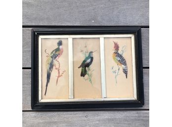 Vintage Framed Birds Made Of Feathers