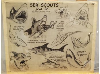 Walt Disney Productions - Art Studio Printed Shark Model Sheet For Artists' Use With Donald Duck