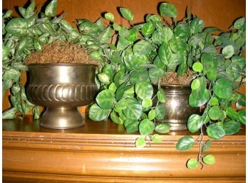 Two Silk Plants In Metal Pots